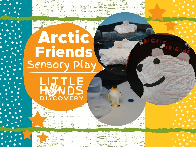 Arctic Friends Sensory Play (18 Months - 6 Years)